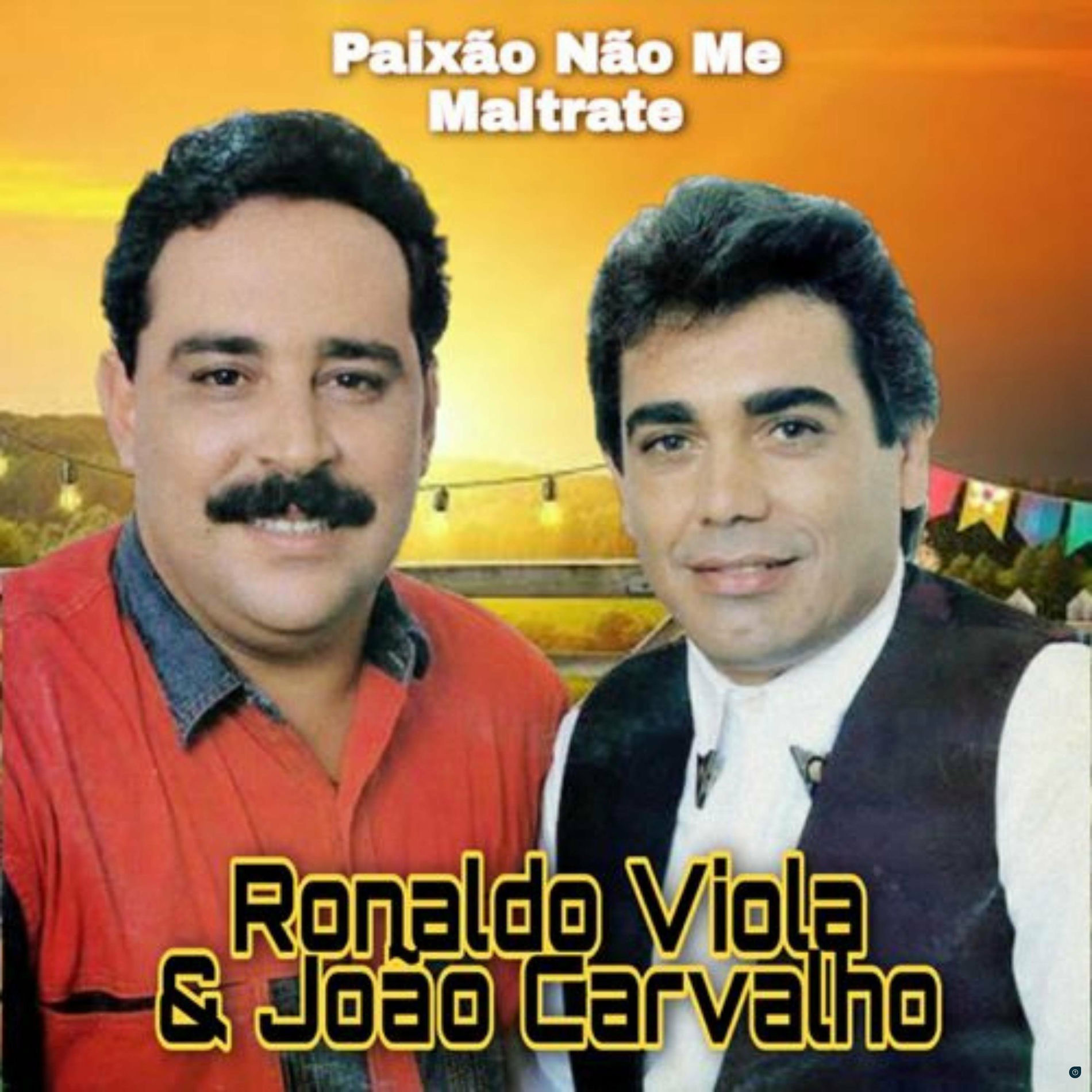 Album cover of Paixão Não Me Maltrate