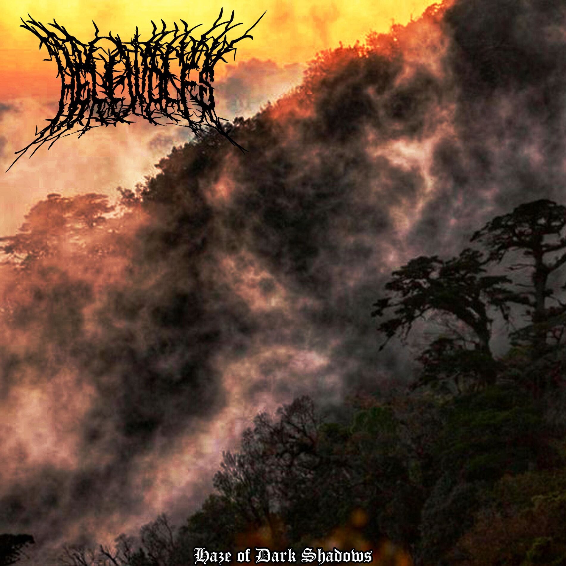 Album cover of Haze of Dark Shadows