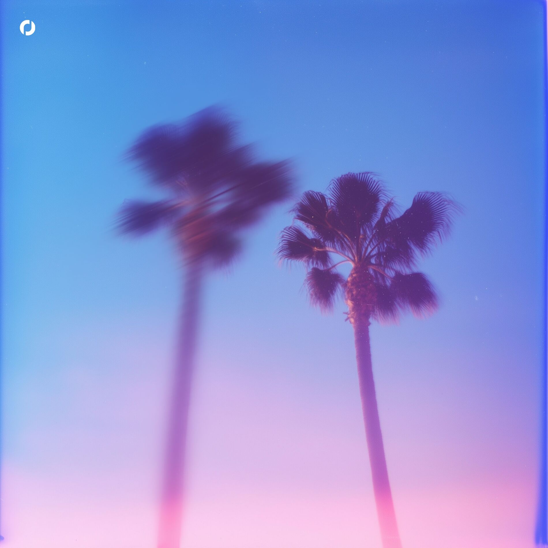 Album cover of pull me closer