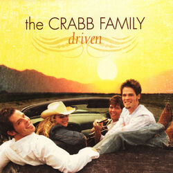Cover of Driven