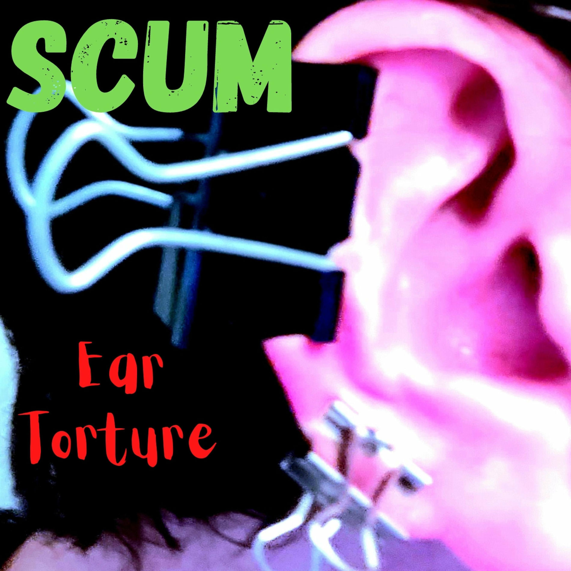 Album cover of Ear Torture