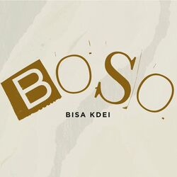 Cover of Boso