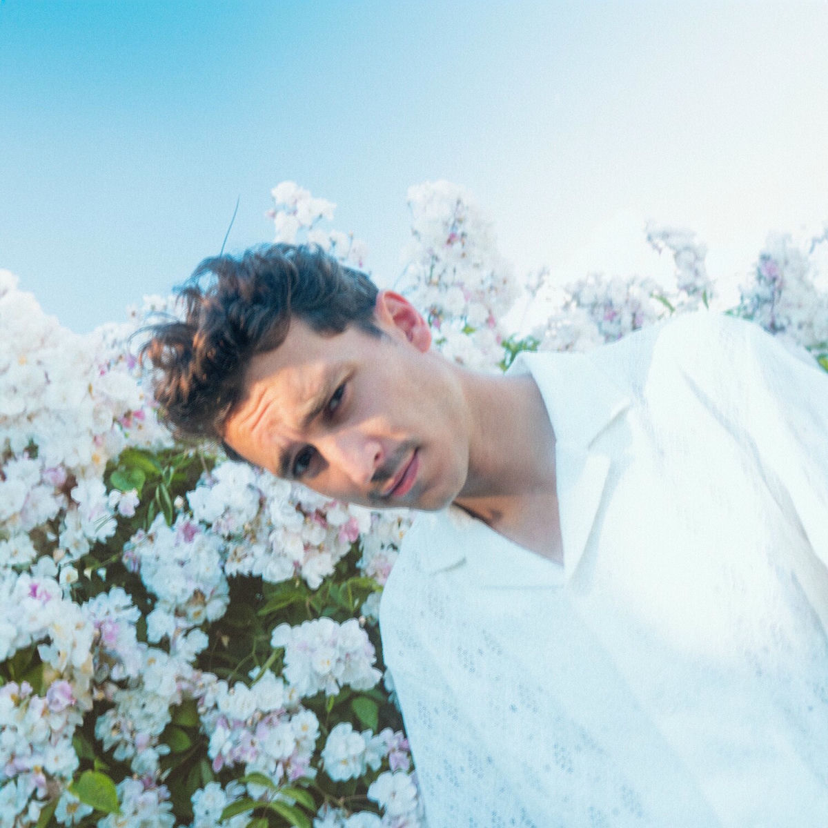 Album cover of Green Light