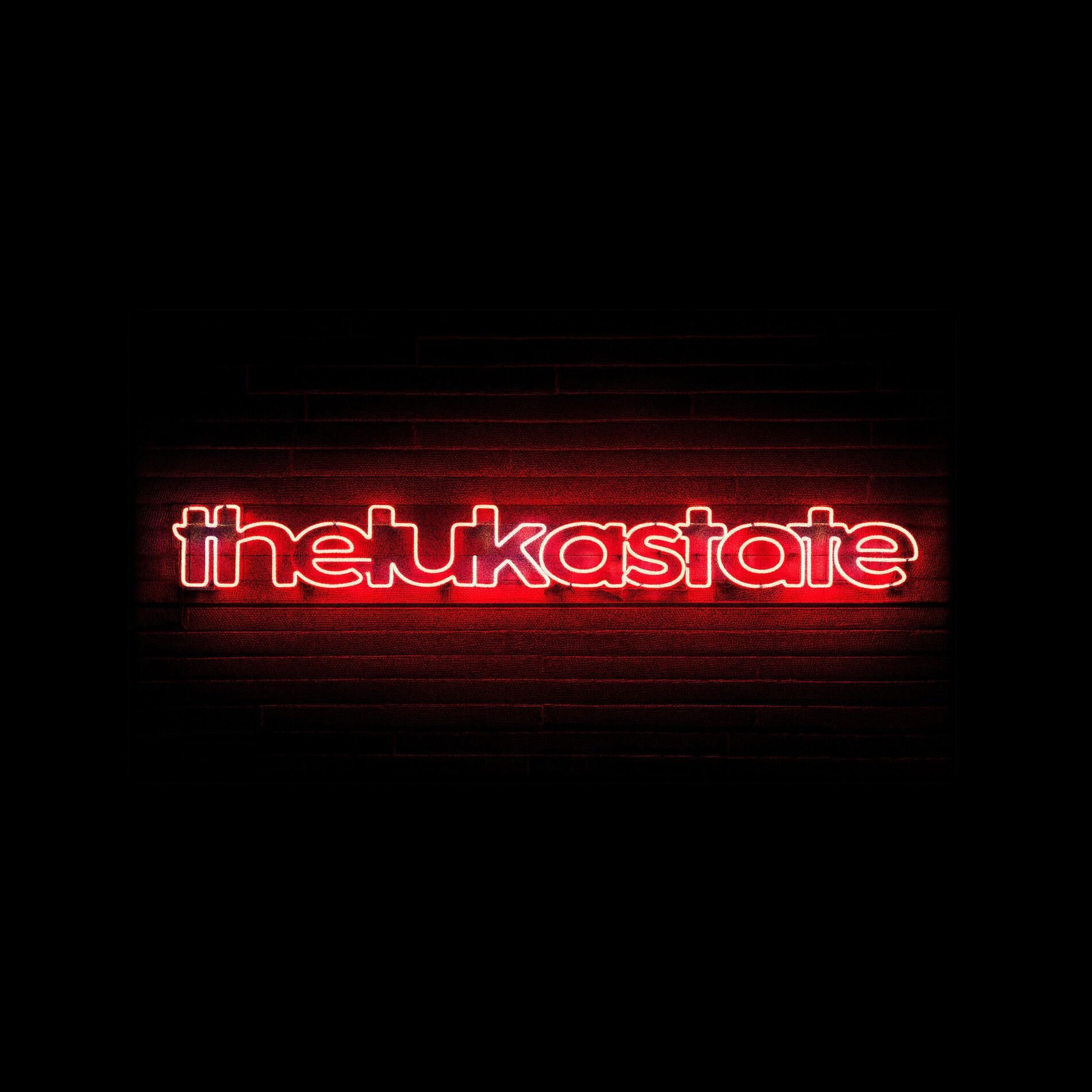 Album cover of The Luka State
