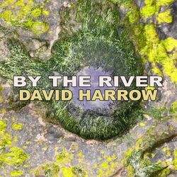 Cover of Down by the River
