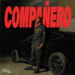 Cover of COMPAÑERO