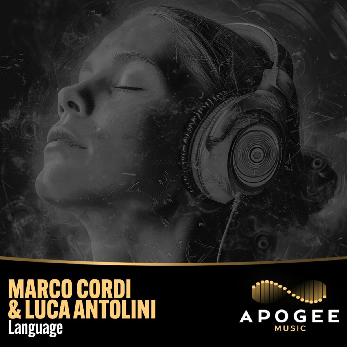 Album cover of Language
