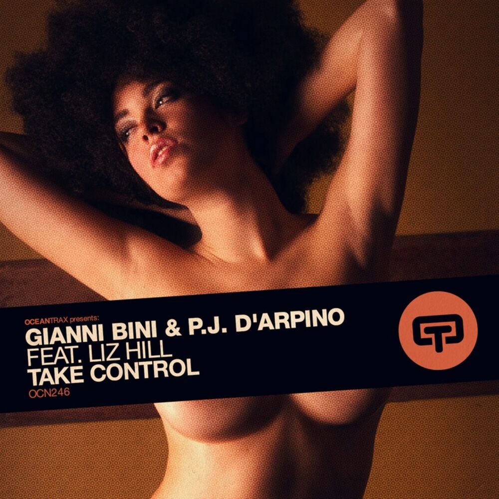 Picture of Take Control (Beenie & Pj Vocal Mix)