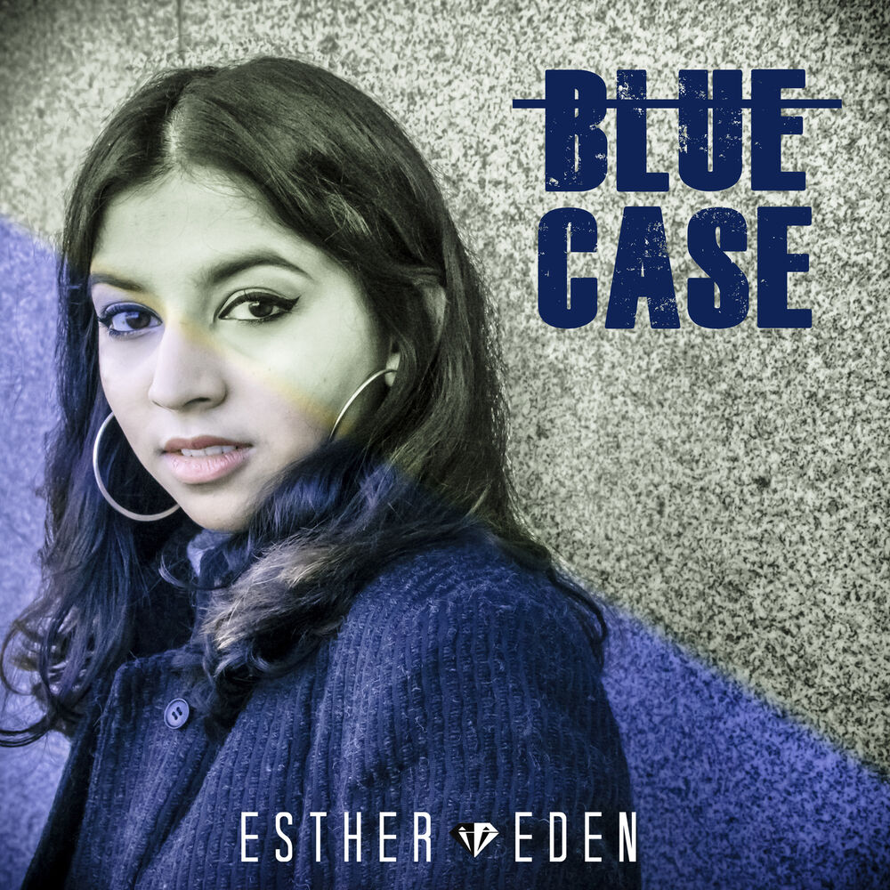Picture of Blue Case