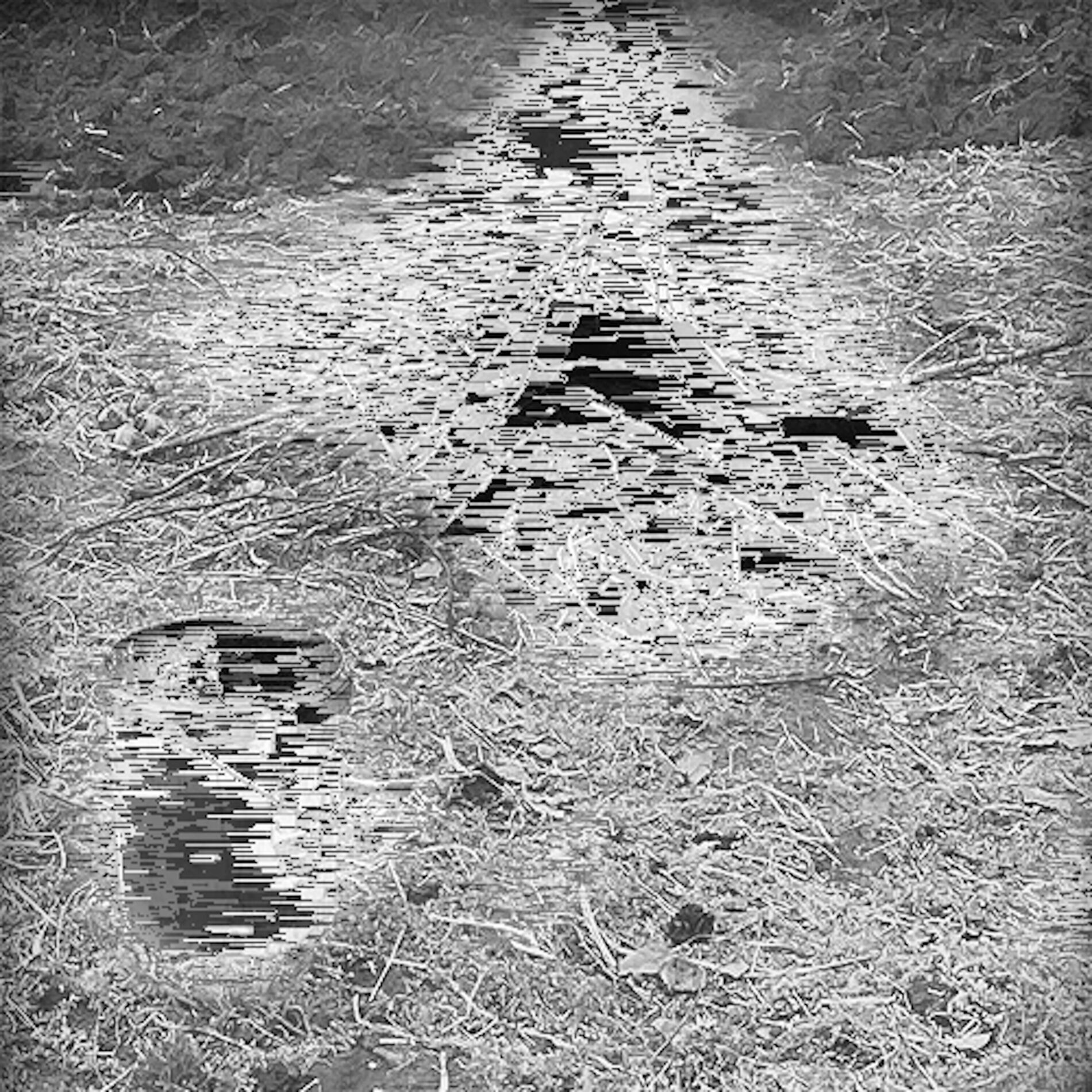 Album cover of Dojebaný