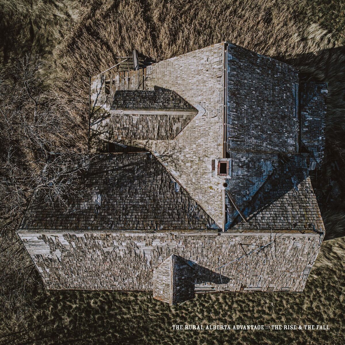 Album cover of The Rise & The Fall