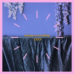 Cover of Timing Is Everything