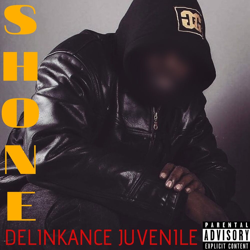 Picture of Délinkance juvénile
