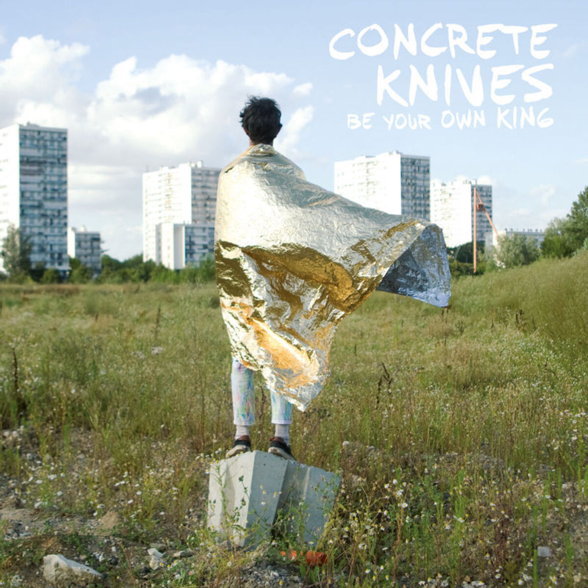 Album cover of Be Your Own King