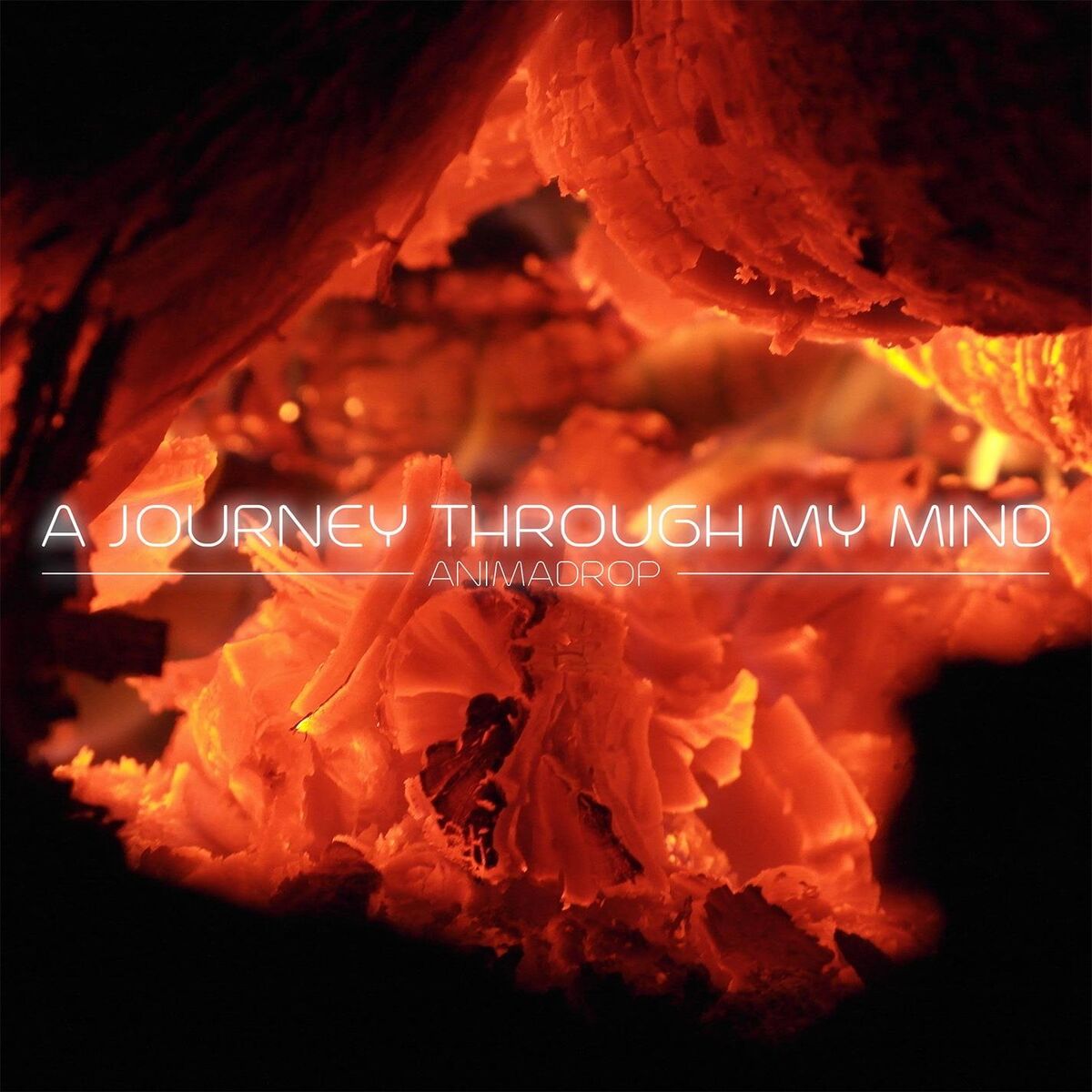 Album cover of A journey through my mind