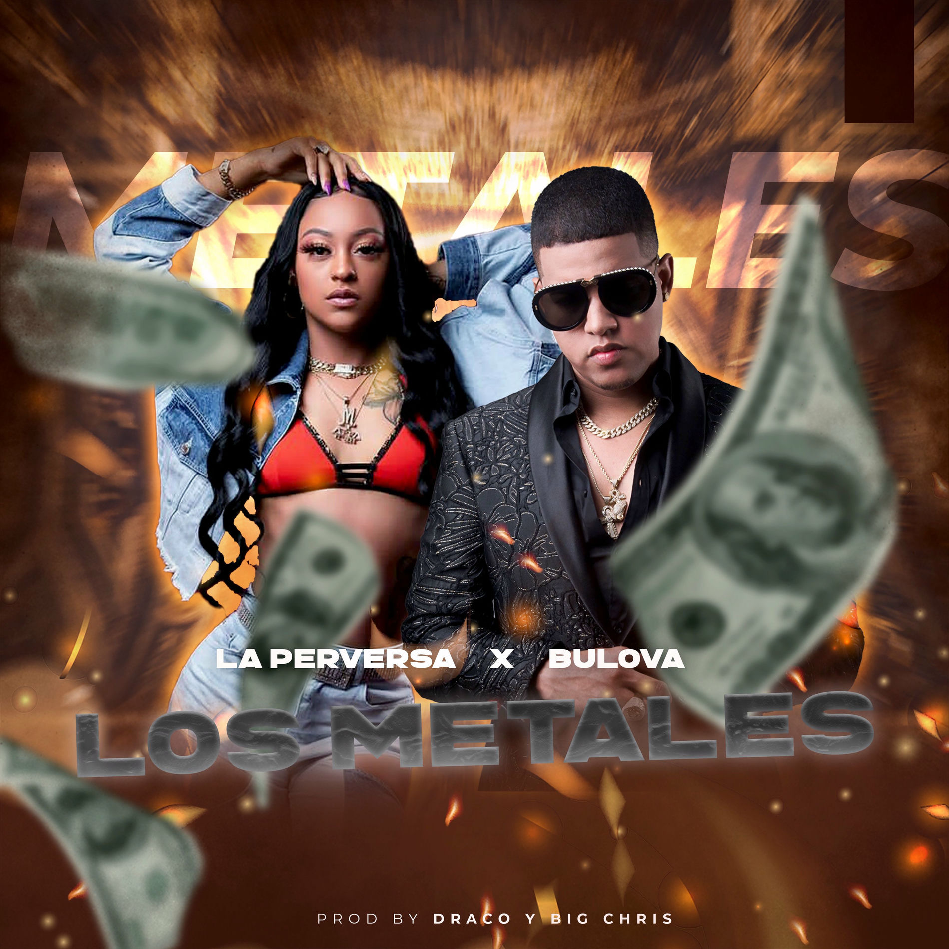 Album cover of Los Metales