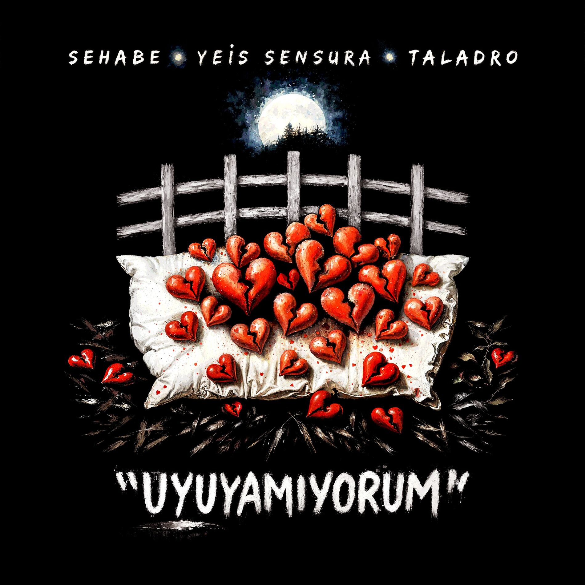 Album cover of Uyuyamıyorum