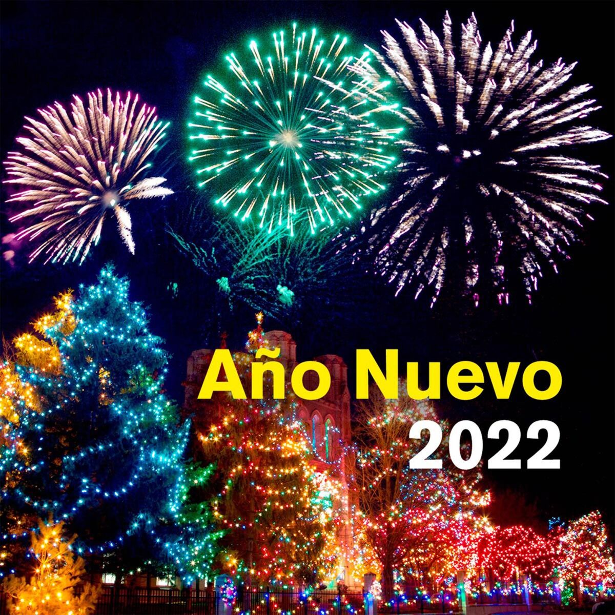Album cover of AÑO NUEVO 2022