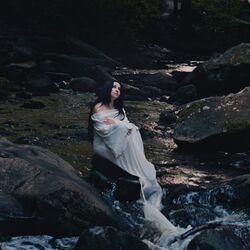 Cover of Under The Same Moon