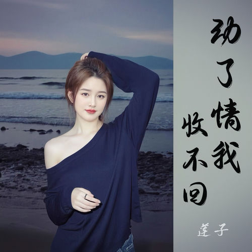 动了情我收不回