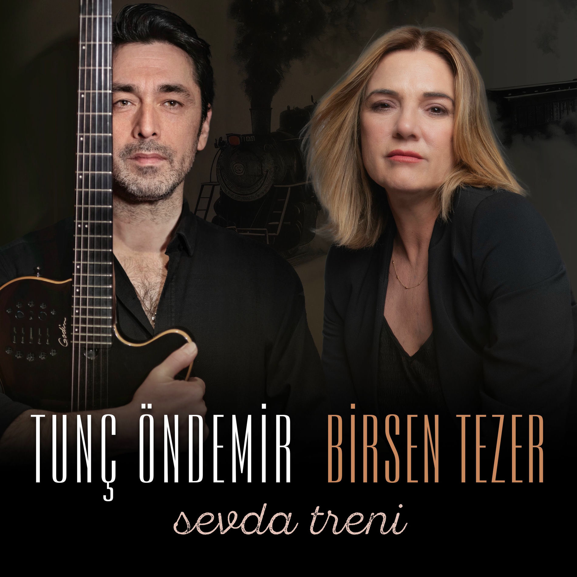 Album cover of Sevda Treni