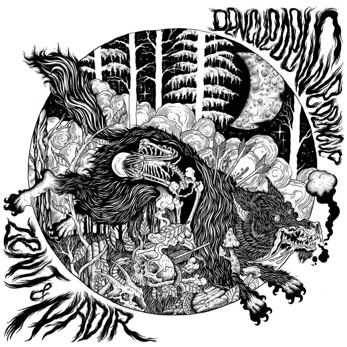 Album cover of Zenit & Nadir