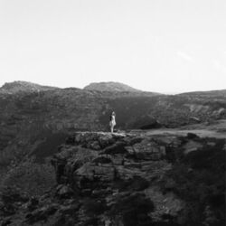 Cover of Dusk