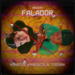 Cover of Falador