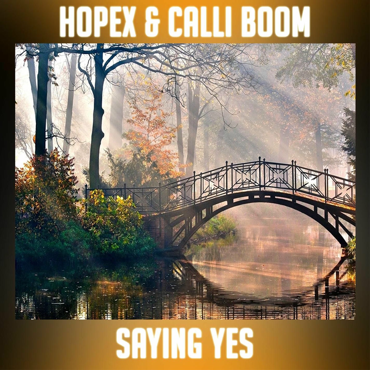 Album cover of Saying Yes (feat. Calli Boom)