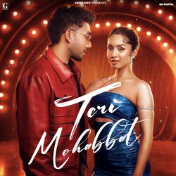 Cover of Teri Mohabbat