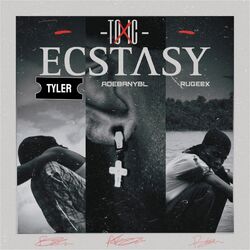 Cover of Toxic Ecstacy