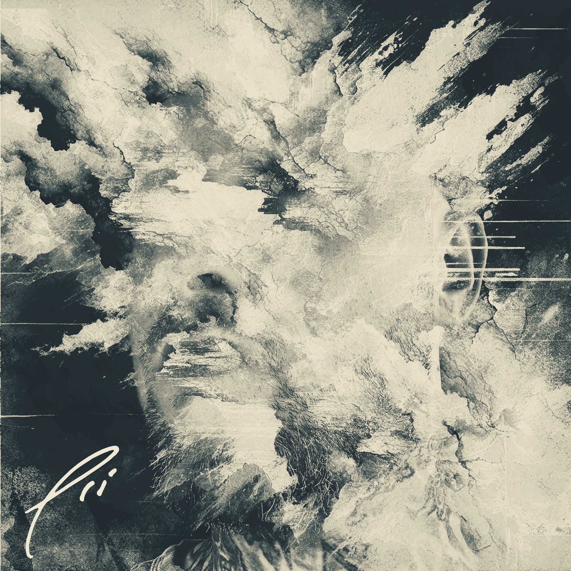 Album cover of In The Flesh