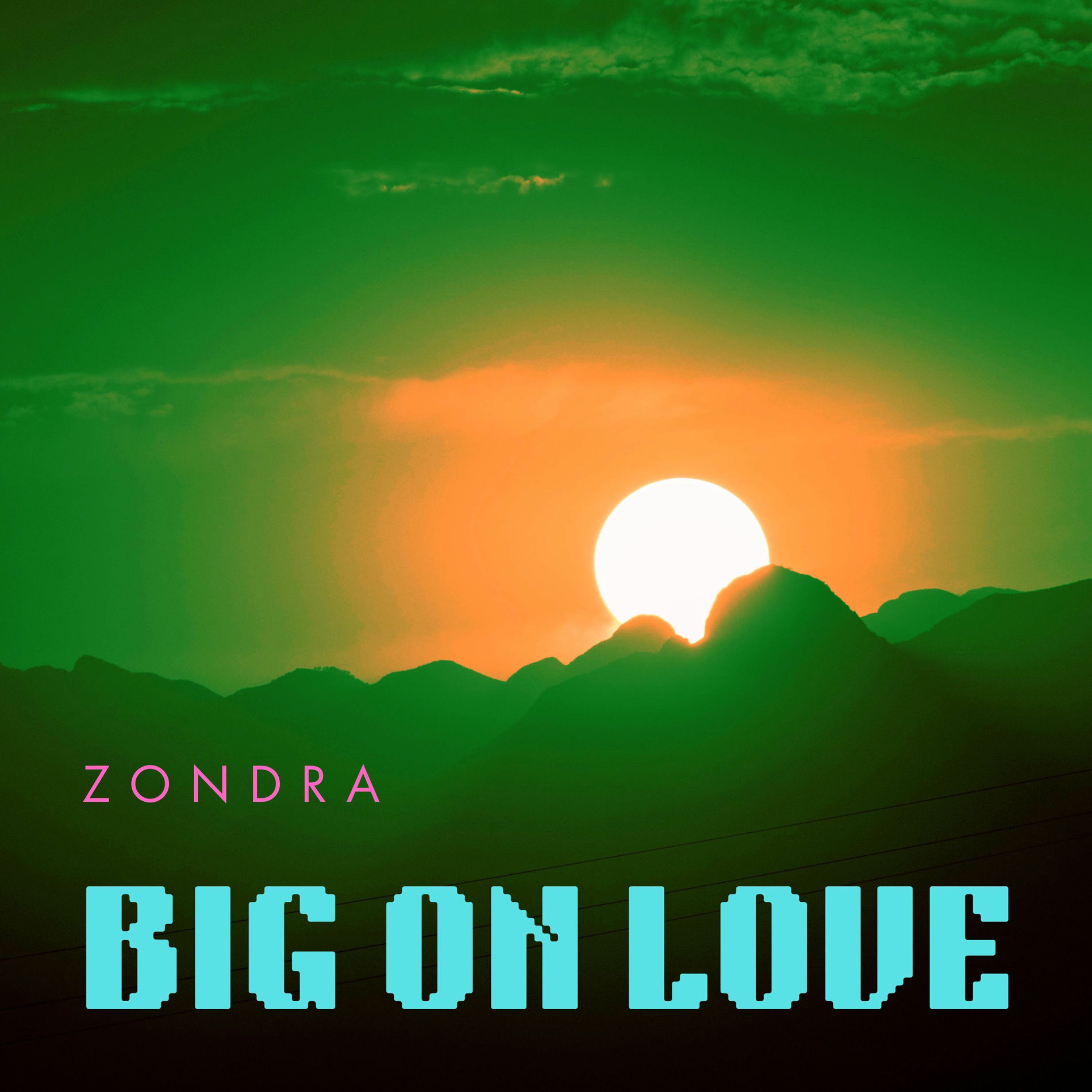 Album cover of Big on Love