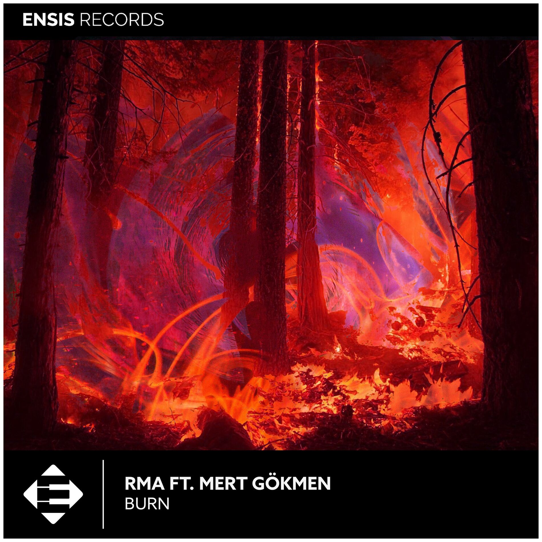 Album cover of Burn