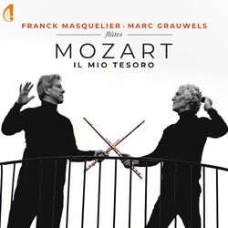 Cover of Il Mio Tesoro