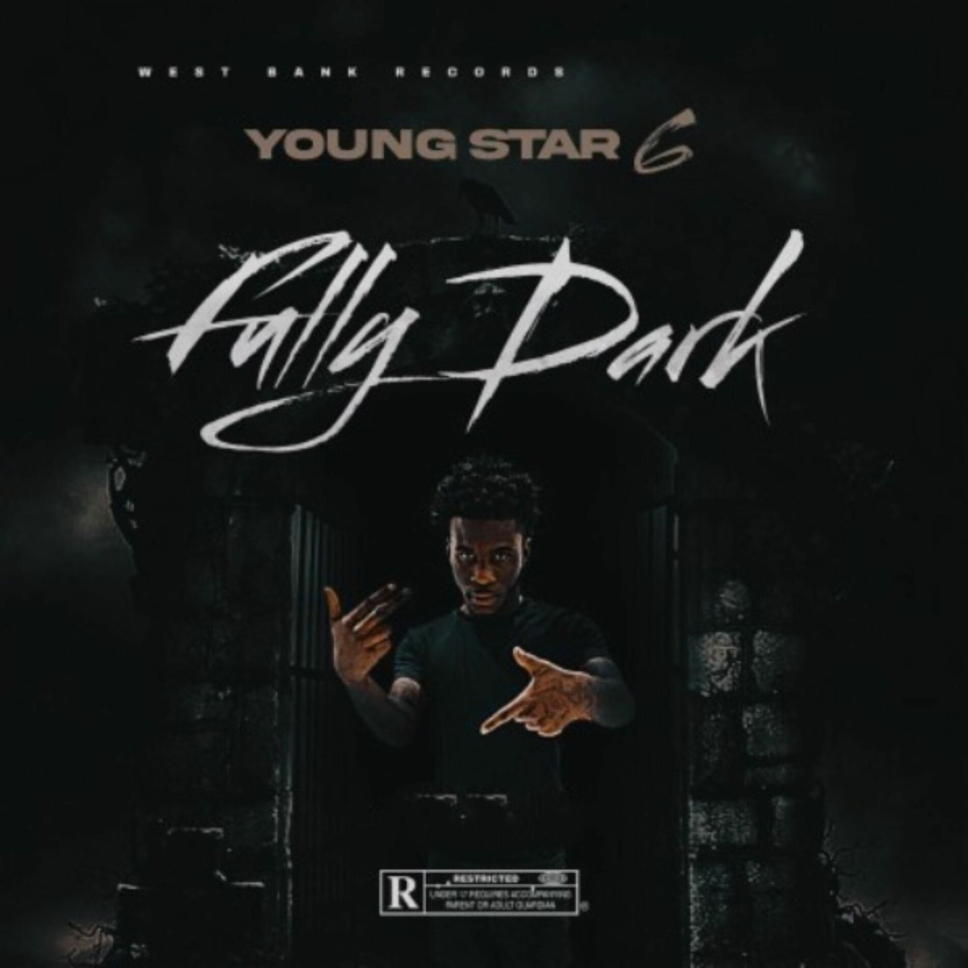 Album cover of Fully Dark