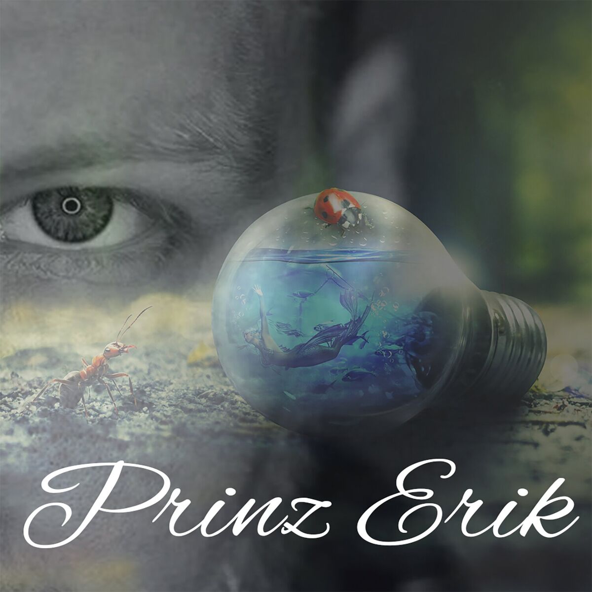 Album cover of Prinz Erik