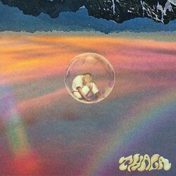Cover of contradictions