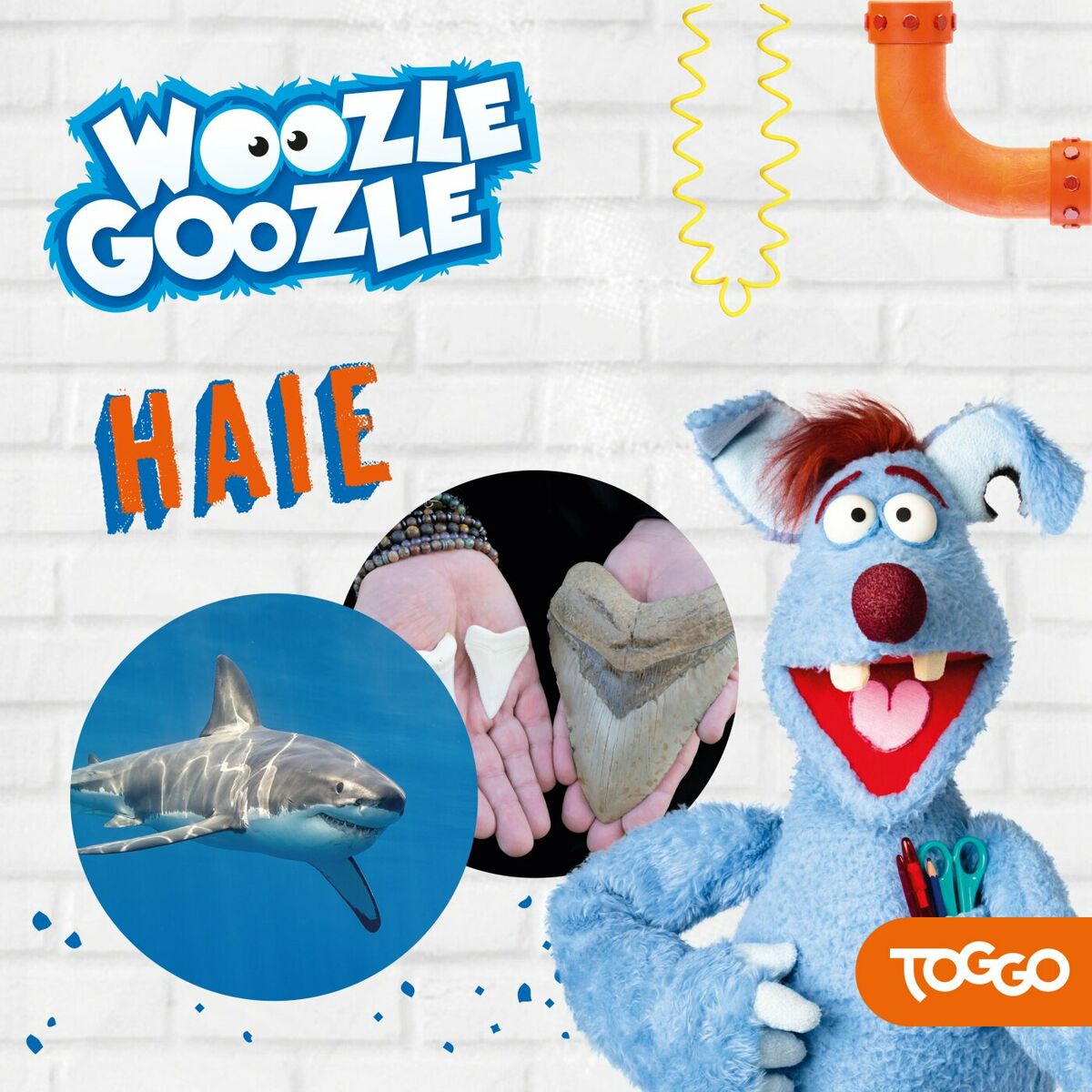 Album cover of Folge 05: Haie (Das Original-Hörspiel zur TV-Serie)