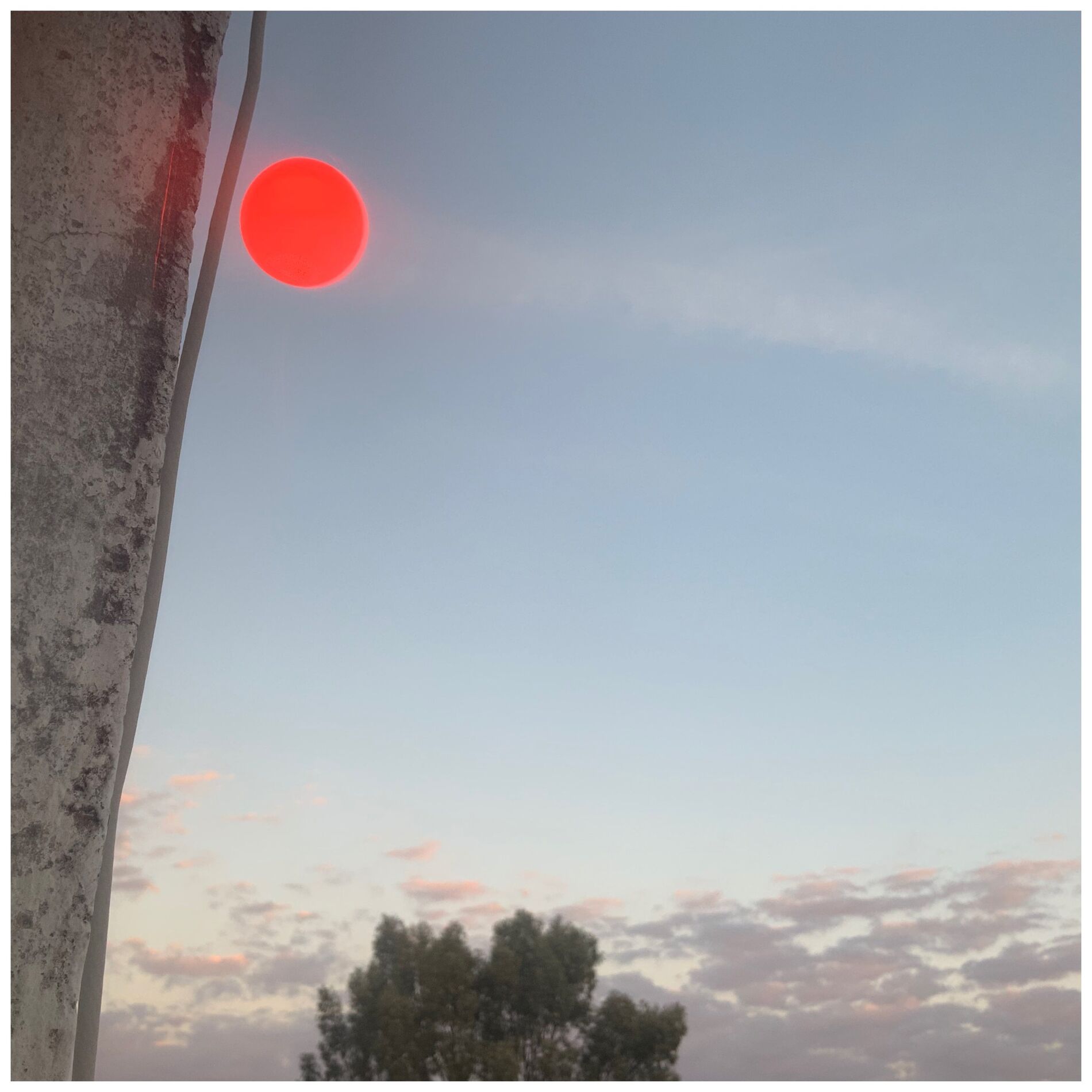 Album cover of Rompiendo (Live)