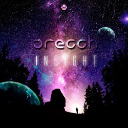 Cover of Insight