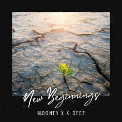 Cover of New Beginnings
