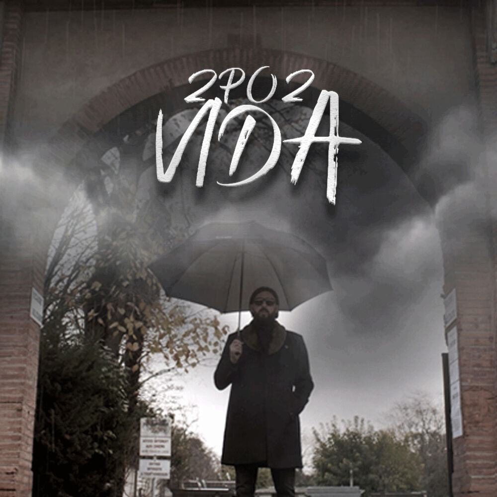 Picture of Vida
