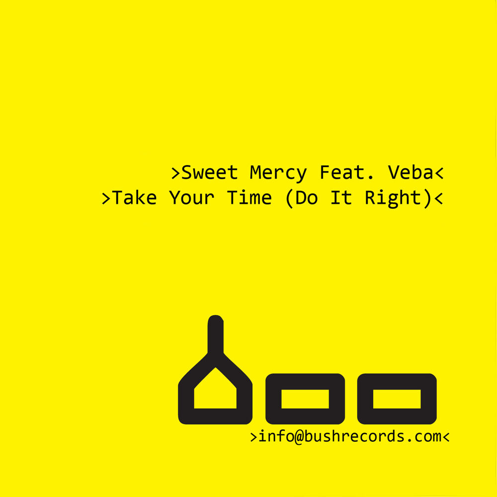 Picture of Take Your Time (Do It Right) [feat. Veba]