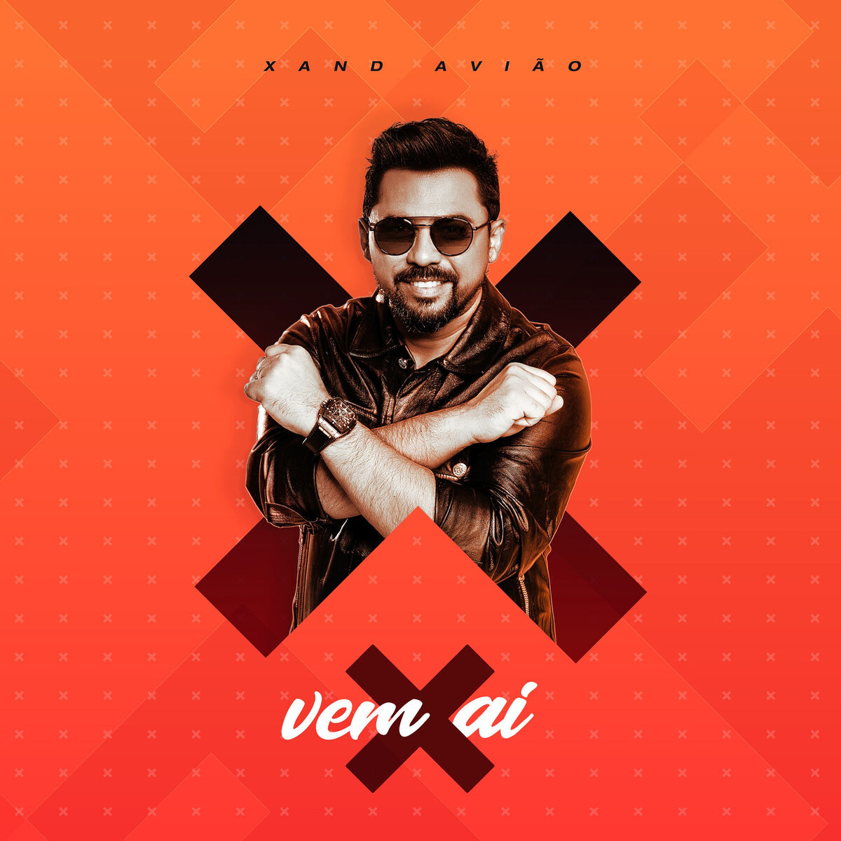 Album cover of Meu Fraco