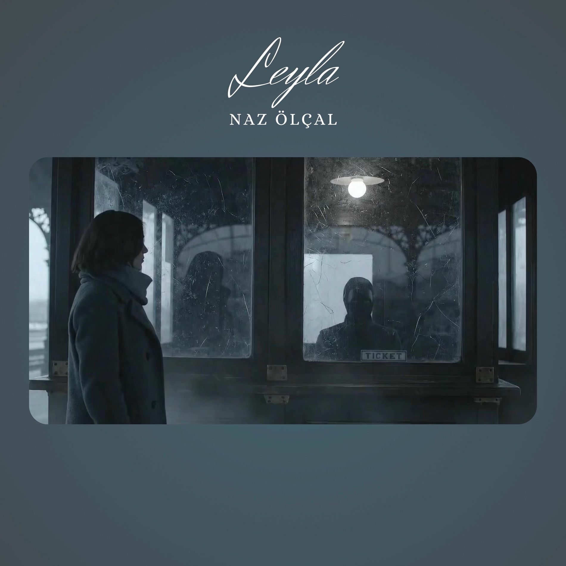 Album cover of Leyla