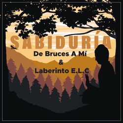 Cover of Sabiduría