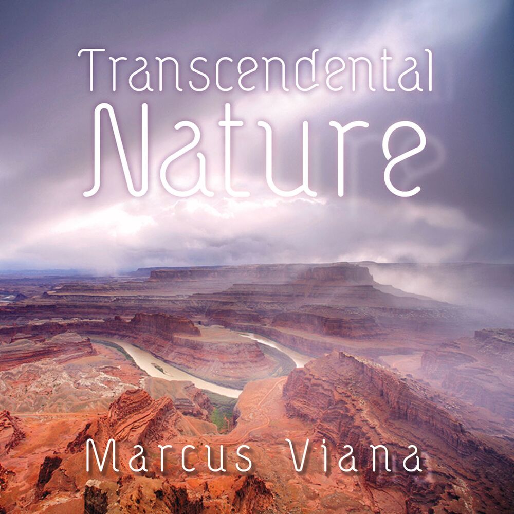 Picture of Transcendental Nature