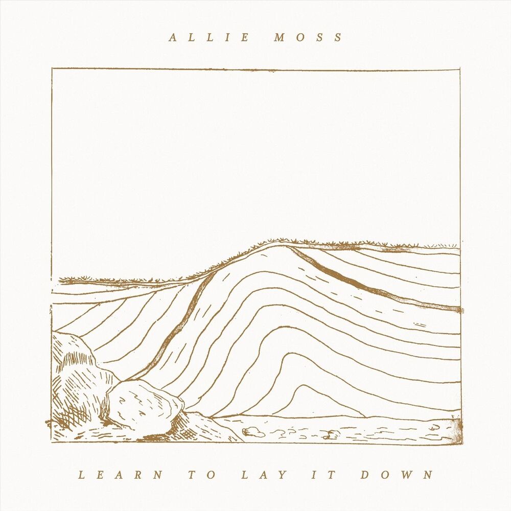 Picture of Learn to Lay It Down