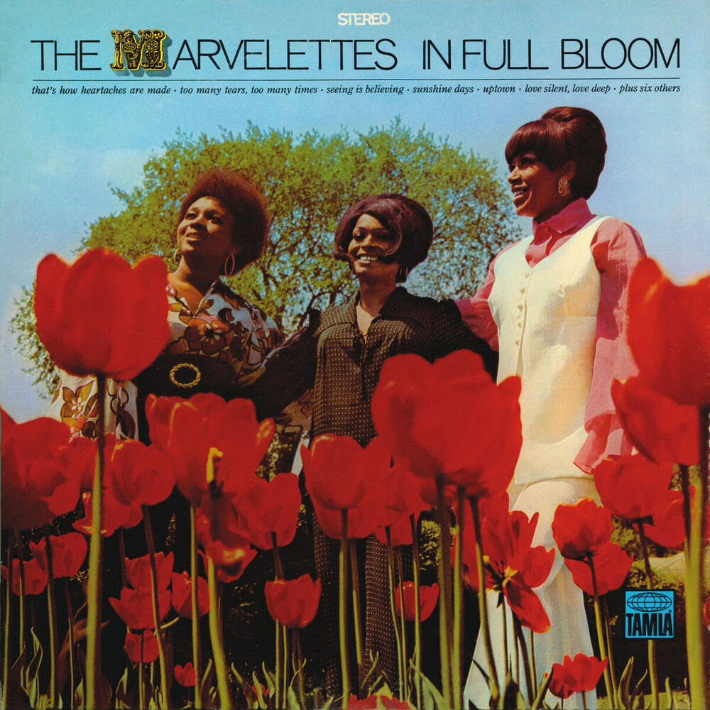 Picture of In Full Bloom